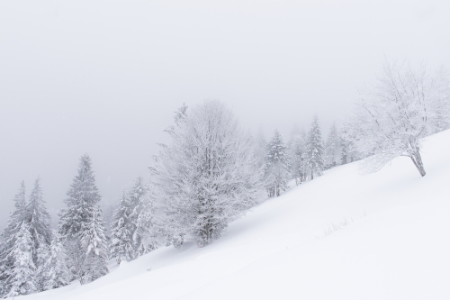 frédéric-demeuse-landscape-photography-vosges-france